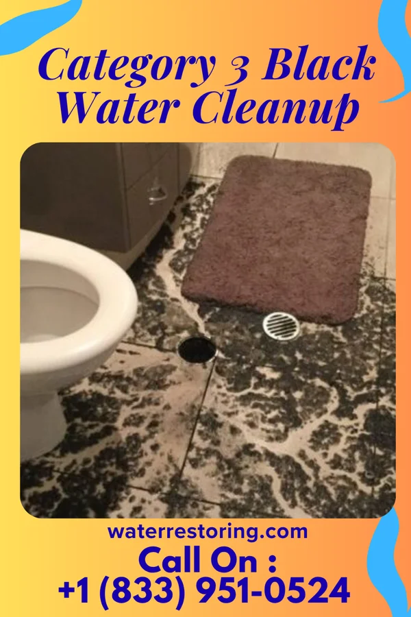 Category 3 Black Water Cleanup in Plano, KY