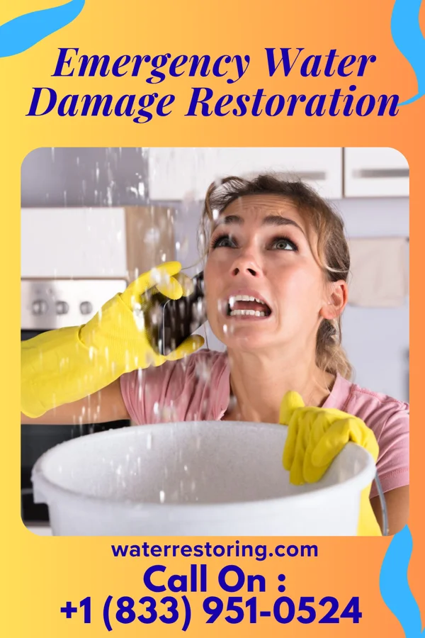 Emergency Water Damage Restoration in Plano, KY