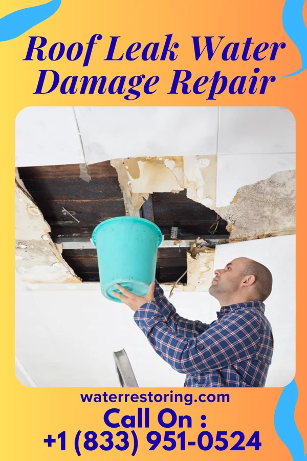Roof Leak Water Damage Repair in Plano, KY