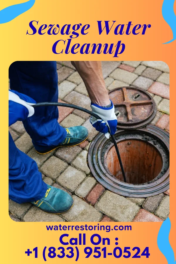 Sewage Water Cleanup in Plano, KY