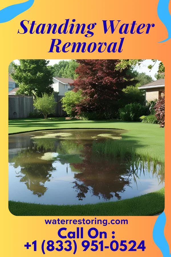 Standing Water Removal in Plano, KY